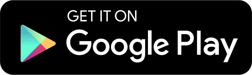 Play Store Icon
